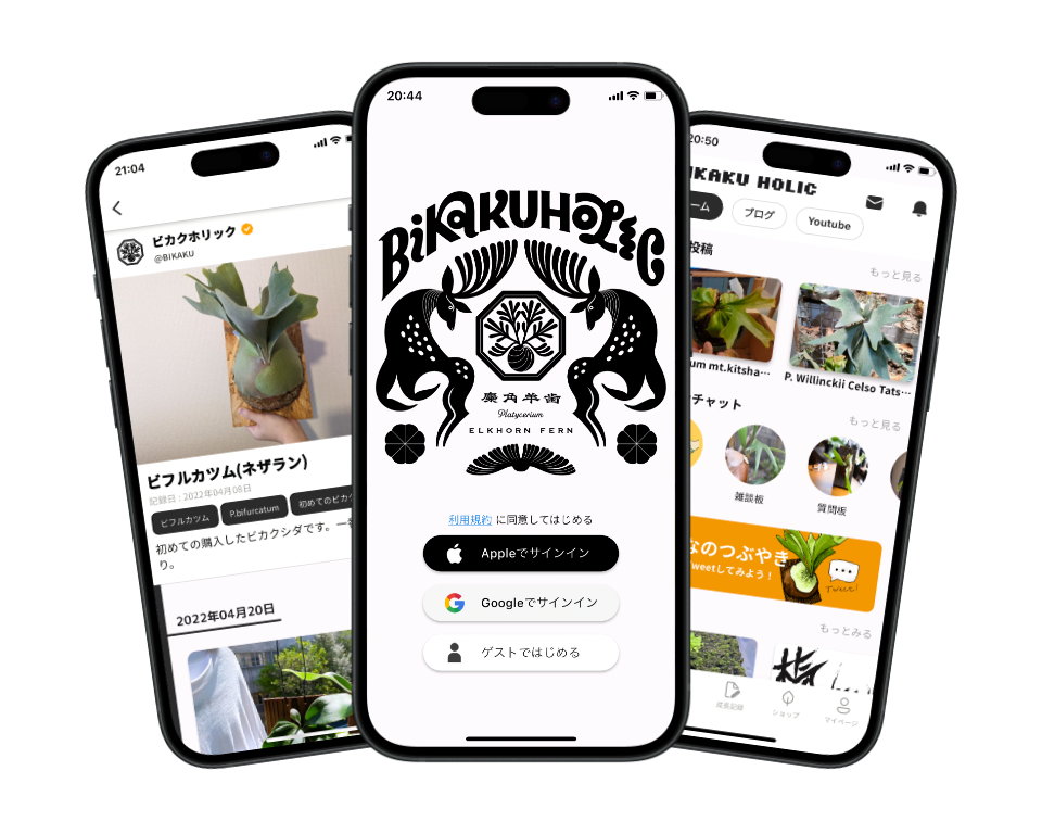 ビカクホリックのアプリイメージ